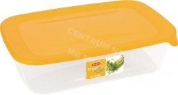 CURVER Food container 