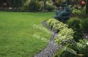 BRADAS Lawn Edging Set 40mm Easy Border Graphite